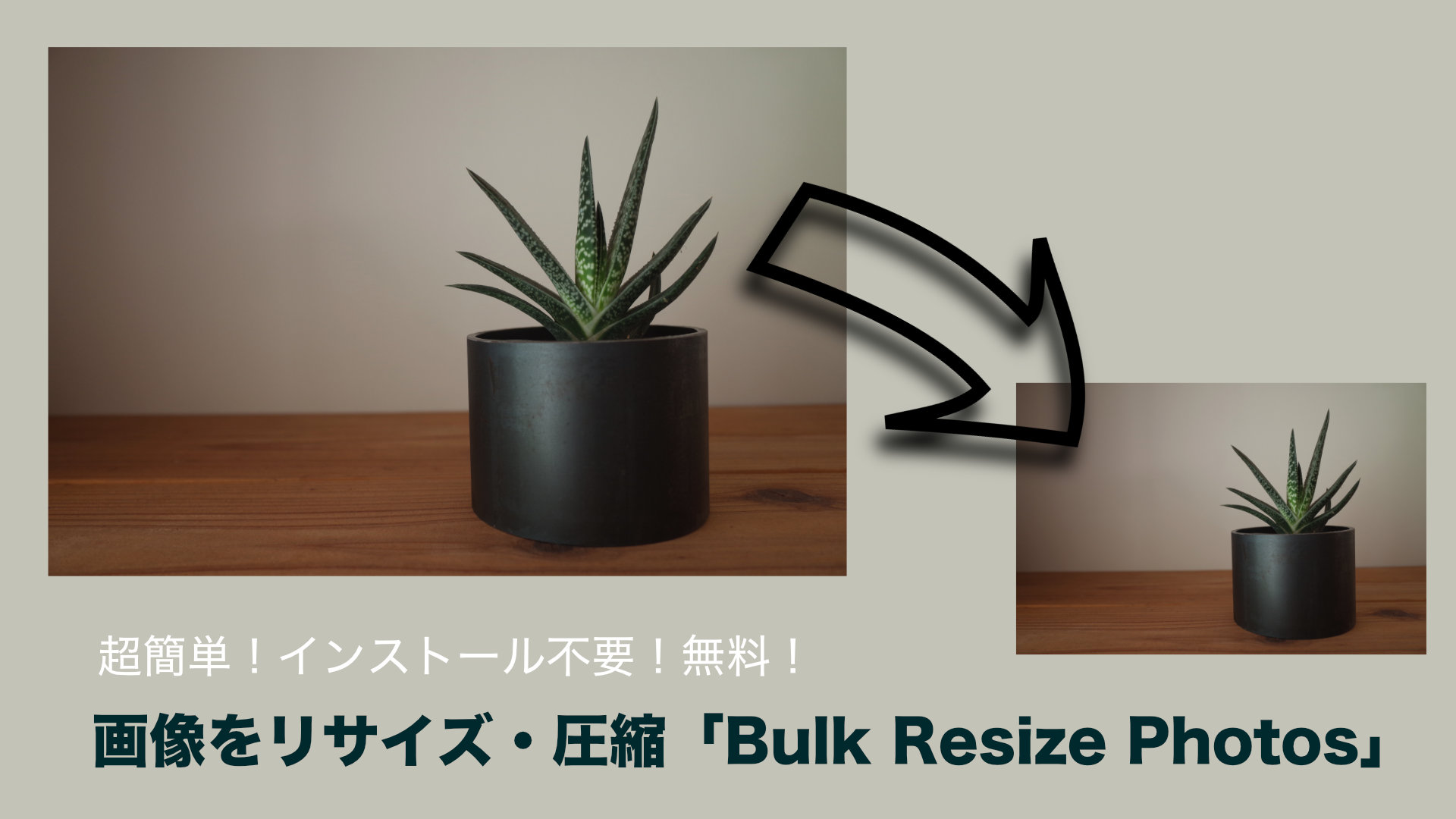 超簡単 インストール不要 画像をリサイズ 圧縮できる無料ソフト Bulk Resize Photos 32web サニウェブ